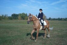 M�R 2003 � Keny